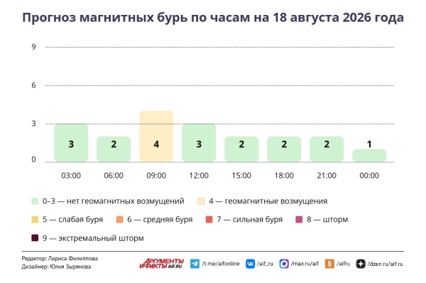 Прогноз магнитных бурь по часам на 18 августа 2026 года. Инфографика