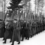 «Живая сила и техника». Что было важнее во время Великой Отечественной?